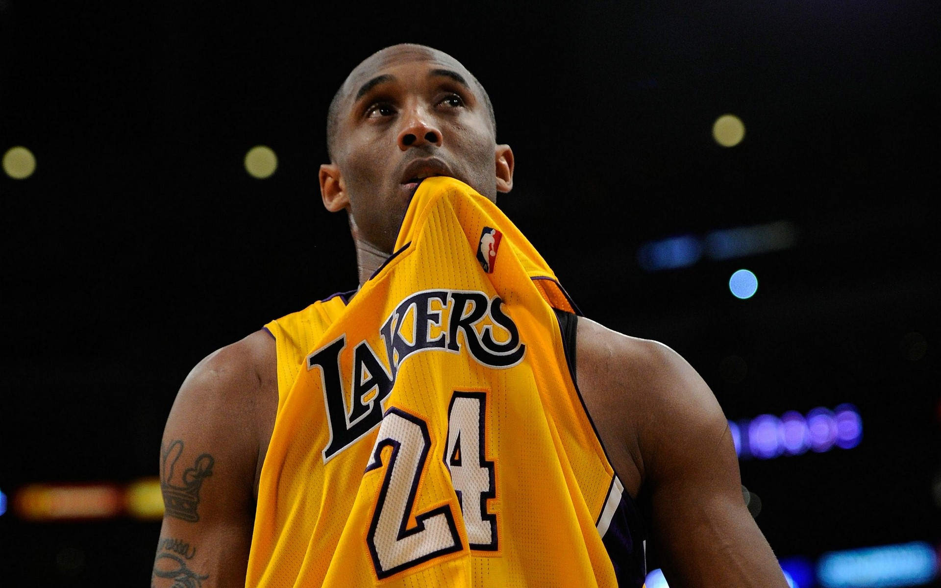 这不仅是网 这不仅是网